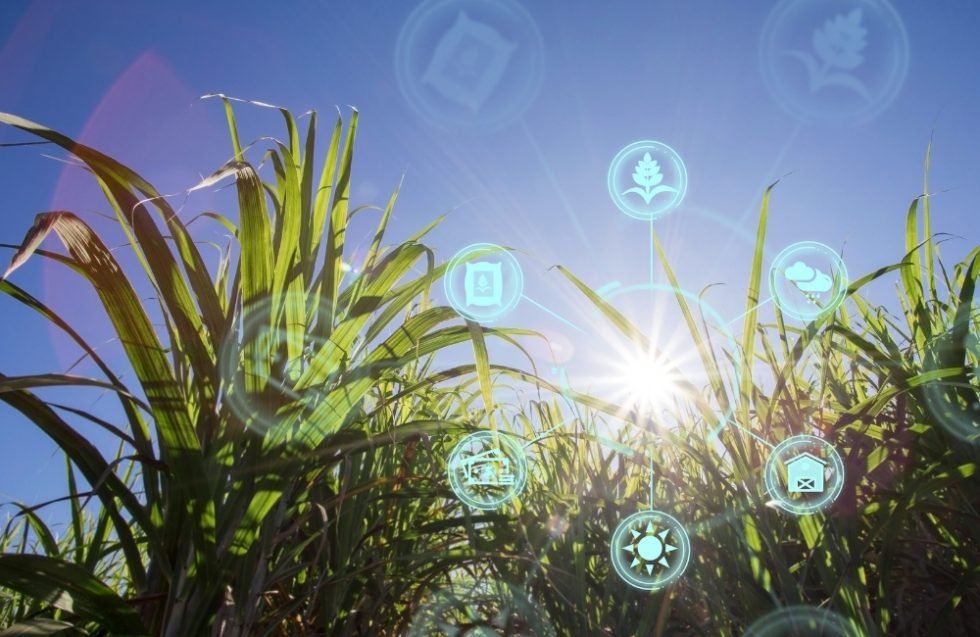 internet of things